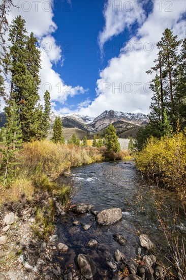 USA, Idaho, Big Wood River rushes through forest near Sun Valley, Sun Valley, Idaho, USA