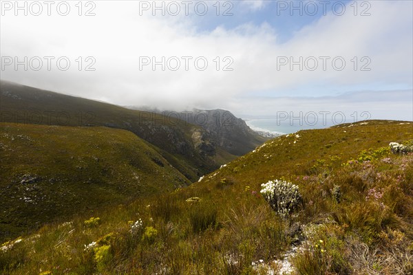 South Africa, Hermanus, Fernkloof Nature Reserve landscape, Hermanus, , South Africa