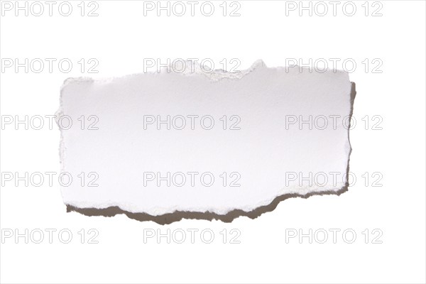 Torn peace of paper on white background, New York City, New York, USA