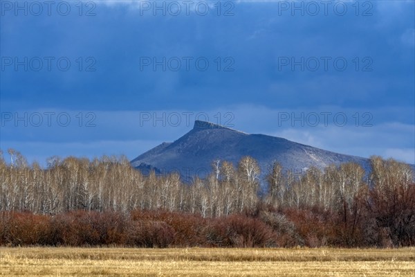 Clouds over field, bushes and trees with Queens Crest mountain in background, Bellevue, Idaho, USA