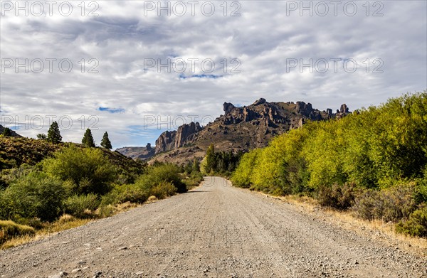 Empty gravel road leading to Estancia Arroyo Verde, Estancia Arroyo Verde, Nequen Province, Argentina