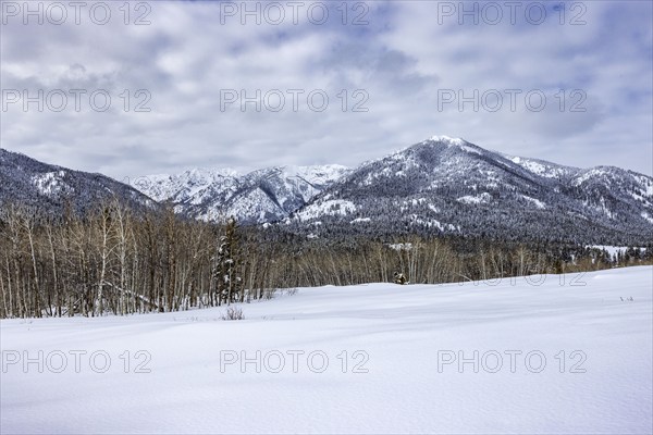 Tranquil winter landscape with snow covered field and hills, Sun Valley, Idaho, USA