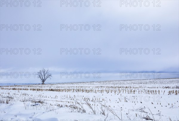 Empty highway 20 crossing snow covered fields in winter, Gooding, Idaho, USA