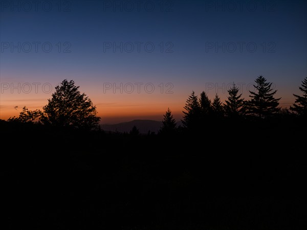 USA, Virginia, Mount Rogers National Recreation Area, Silhouettes of trees against sky at sunrise, Mount Rogers National Recreation Area, Virginia, USA