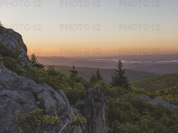 USA, Virginia, Mount Rogers National Recreation Area at sunrise , Mount Rogers National Recreation Area, Virginia, USA