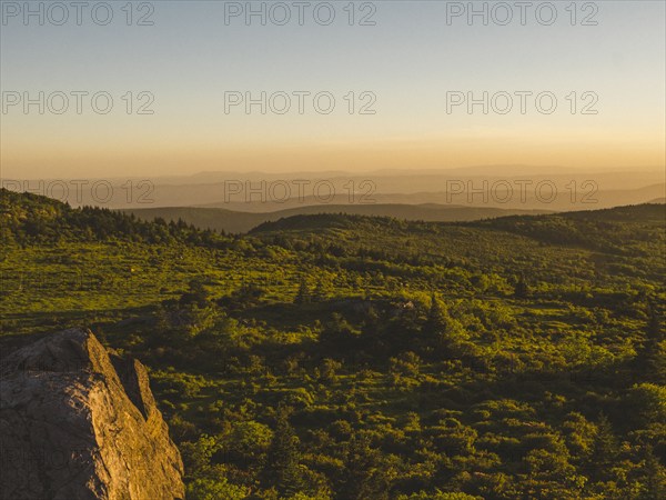 USA, Virginia, Mount Rogers National Recreation Area at sunrise , Mount Rogers National Recreation Area, Virginia, USA