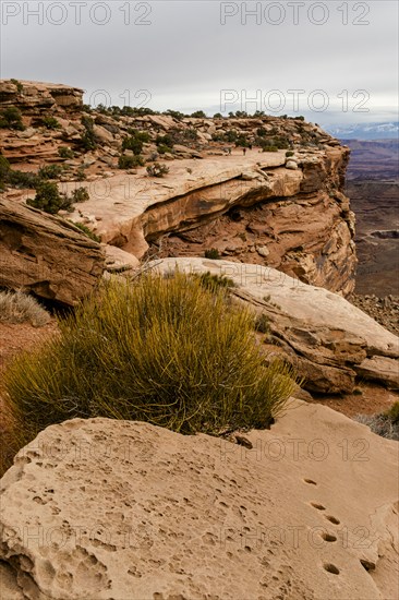 USA, Utah, Rock formations in Canyon Lands National Park, Canyon Lands National Park, Utah, USA