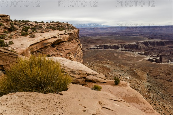 USA, Utah, Rock formations in Canyon Lands National Park, Canyon Lands National Park, Utah, USA