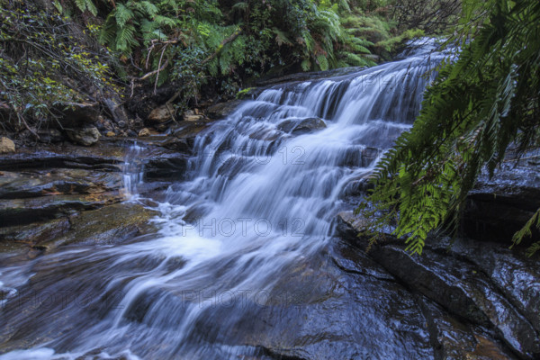 Rocky stream in forest, long exposure
Katoomba, New South Wales, Australia