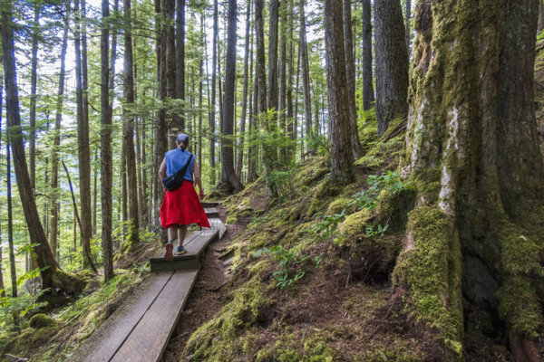 Rear view of woman walking on boardwalk in forest
Wrangall, Alaska, USA