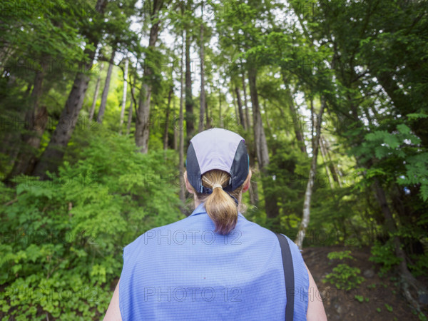 Rear view of woman walking in forest
Wrangall, Alaska, USA