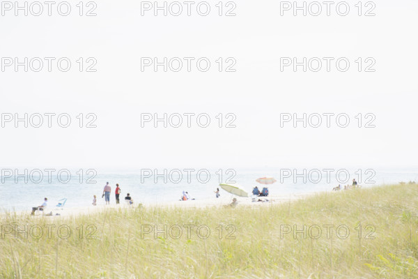 People relaxing on Siasconset Beach
Nantucket, Massachusetts, USA