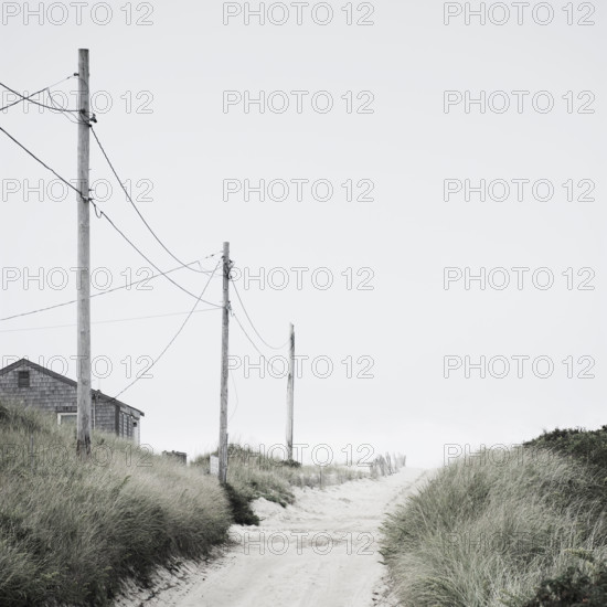 Electricity poles along beach road
Nantucket, Massachusetts, USA