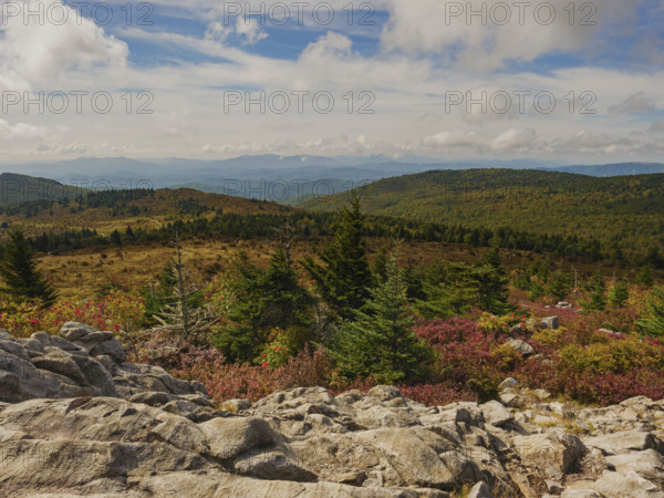 Trees and rocks in mountain landscape
Mount Rogers National Recreation Area, Virginia, USA