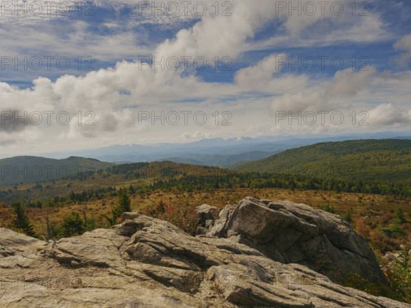 Trees and rocks in mountain landscape
Mount Rogers National Recreation Area, Virginia, USA