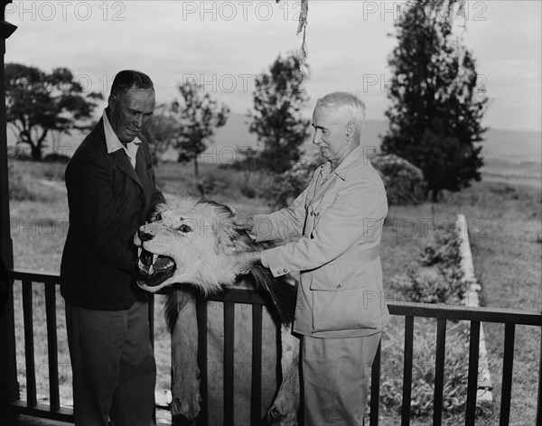 Clifford and Harold with lion skin. Clifford and Harold Hill holding up a lion skin. Kenya, 9 September 1954. Kenya, Eastern Africa, Africa.