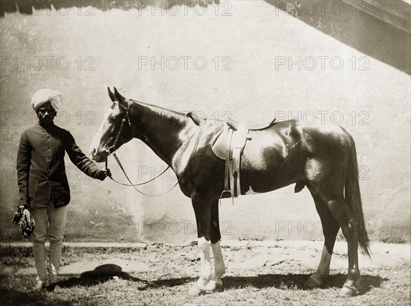 Pedigree stallion. An Indian servant displays a pedigree stallion for the camera. The name of the horse's owner is unknown. India, circa 1880. India, Southern Asia, Asia.