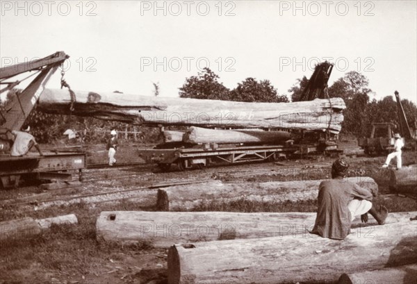 Loading a ten-ton tree trunk. A huge tree trunk, weighing 10 tonnes according to an original caption, is loaded onto a flatbed railcar with the use of two cranes. Kyidaunggan, Mandalay Division, Burma (Myanmar), circa 1910. Kyidaunggan, Mandalay, Burma (Myanmar), South East Asia, Asia.