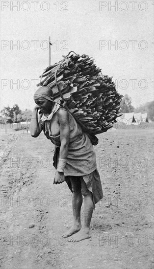 Woman carrying wood. An African woman supports a large bundle of firewood on her back with the aid of a strap across her forehead. British East Africa (Kenya), circa 1913. Kenya, Eastern Africa, Africa.