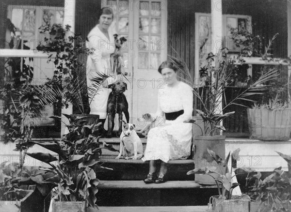 Pets and plants at number 61. Two women on the veranda of a timber-framed colonial bungalow, number 61, surrounded by an assortment of dogs and house plants. Nairobi, British East Africa (Kenya), 1917. Nairobi, Nairobi Area, Kenya, Eastern Africa, Africa.