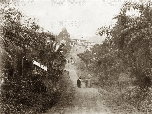 Nsawam approach road. View approaching Nsawam on the road from Accra. Nsawam, Gold Coast (Ghana), circa 1920. Nsawam, East (Ghana), Ghana, Western Africa, Africa.