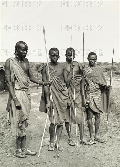 Maasai warriors, Tanganyika. Four Maasai warriors dressed in traditional dress pose for the camera, spears in hand. Tanganyika Territory (Tanzania), circa 1960. Tanzania, Eastern Africa, Africa.