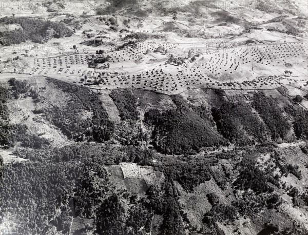 Aerial view of a Kikuyu fortified village. An official photograph taken from the air of a Kikuyu fortified village on a cleared ridge. Fort Hall, Kenya, circa 1955. Fort Hall, Central (Kenya), Kenya, Eastern Africa, Africa.