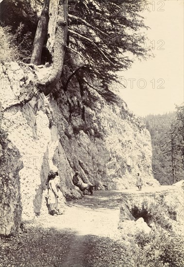 The road to Ghanal. Several figures on the road to Ghanal, a narrow track cut into the side of a steep mountain in the Himalayas. India (Pakistan), circa 1895., North West Frontier Province, Pakistan, Southern Asia, Asia.