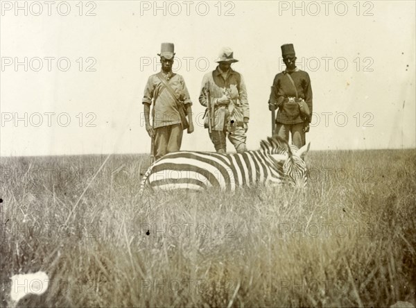 Hunters with zebra carcass. A European man identified as 'Hobley' stands between two African guides and inspects the body of a zebra slumped in the grass. British East Africa (Kenya), 1906. Kenya, Eastern Africa, Africa.