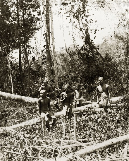 Young north Malaysian aborigines. A small group of young male ...