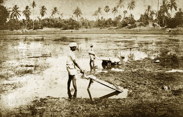 Washing at Ballygunge, India. Indian men wash clothes on wooden washing boards propped up in the mud of a shallow lake at Ballygunge, a locality of Calcutta (Kolkata). Calcutta (Kolkata), India, circa 1890. Kolkata, West Bengal, India, Southern Asia, Asia.