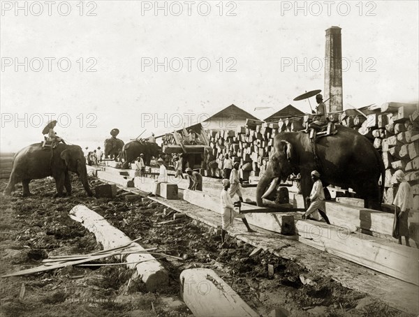 Elephants in a timber yard, Burma (Myanmar). Four elephants are put to work in a teak timber yard, directed by mahouts (elephant handlers) who ride on their backs. Other workers can be seen preparing the timber on the ground. Probably Rangoon (Yangon), Burma (Myanmar), circa 1885. Yangon, Yangon, Burma (Myanmar), South East Asia, Asia.