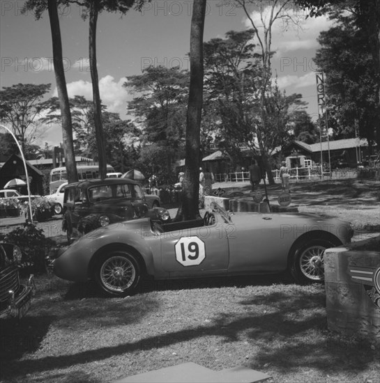 Sports car under shade. An open-top sports car sits beneath shady trees surrounded by vehicles at the Royal Show. Kenya, 25 September 1957. Kenya, Eastern Africa, Africa.