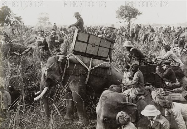 King George V surveys the hunt. King George V (r.1910-36) leans from the howdah on the back of his elephant during a royal hunt in Chitwan Valley hosted by the Maharajah of Nepal. A related image suggests that the King has just shot a tiger. Narayani, Nepal, 18 December 1911., Narayani, Nepal, Southern Asia, Asia.