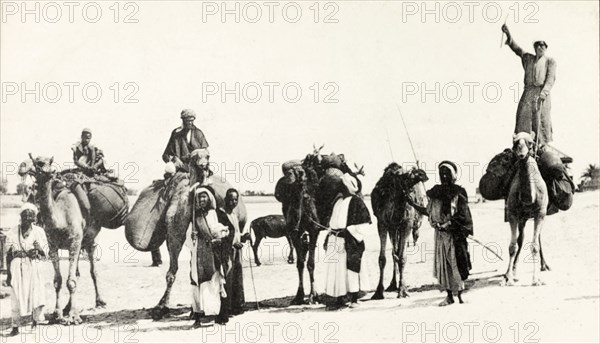 Bedouins in Egypt. A group of traditionally dressed Arab bedouins pose for the camera, mounted on camels. Egypt, circa 1925. Egypt, Northern Africa, Africa.