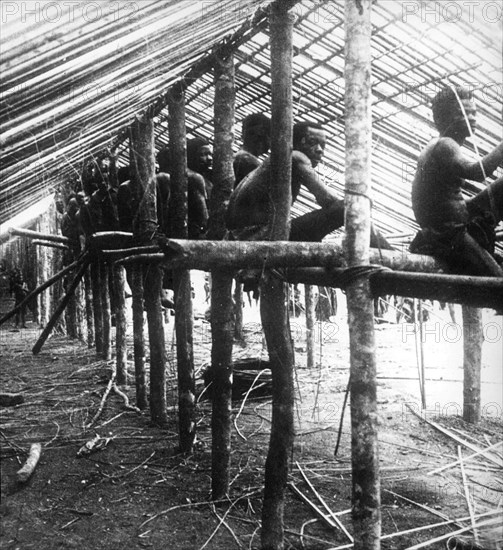 Slaves constructing a roof. Congolese slaves sit on the supporting timbers of a new building as they work to construct its roof from the inside. Congo Free State (Democratic Republic of Congo), circa 1905. Congo, Democratic Republic of, Central Africa, Africa.