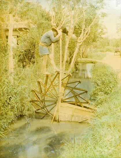 Japanese water wheel. A Japanese man treads the paddles of a wooden water wheel as he raises water from a village stream. Japan, circa 1910. Japan, Eastern Asia, Asia.