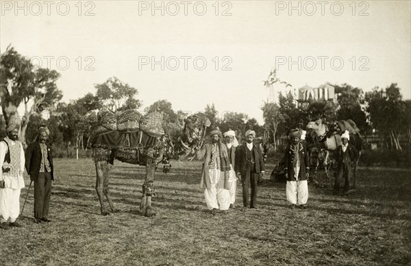 Afghan camel drivers. Afghan camel drivers prepare to welcome the Duke and Duchess of Cornwall and York (later King George V and Queen Mary) to Perth. The seven turbaned men wear an array of traditional and Western dress as they stand in a park with two finely decorated camels. Perth, Australia, July 1901. Perth, West Australia, Australia, Australia, Oceania.