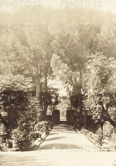 Side entrance to Government House, Perth. Tall trees surround a low gateway, a side entrance leading into the grounds of Perth's Government House. Perth, Australia, circa 1901. Perth, West Australia, Australia, Australia, Oceania.