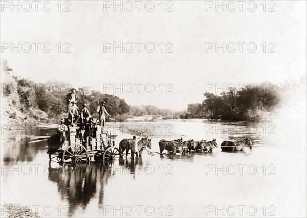 Crossing the Limpopo River. A coach and a team of mules cross the Limpopo River on the border between Southern Rhodesia and the Transvaal. Rhodesia (Zimbabwe), circa 1897. Zimbabwe, Southern Africa, Africa.