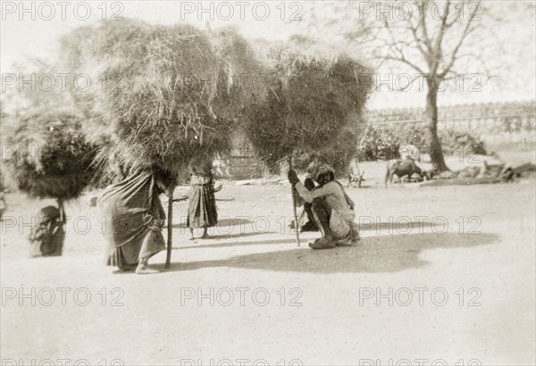 Carrying bundles of hay, India. Several farm labourers carry large bundles of hay above their heads with the aid of long sticks. Udaipur, Rajputana (Rajasthan), India, circa 1928. Udaipur, Rajasthan, India, Southern Asia, Asia.