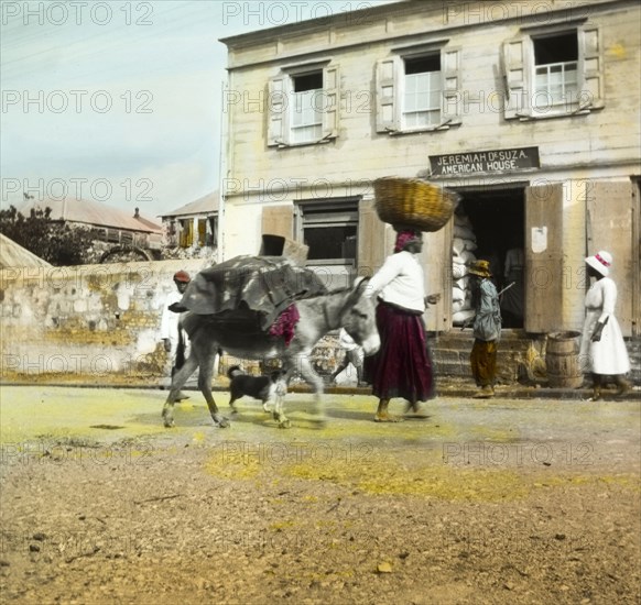 On the way to market', Antigua. A woman and donkey travel to market laden with goods, past an 'American House' in the centre of town. Probably St John's, Antigua, circa 1910. St John's, St John (Antigua and Barbuda), Antigua and Barbuda, Caribbean, North America .