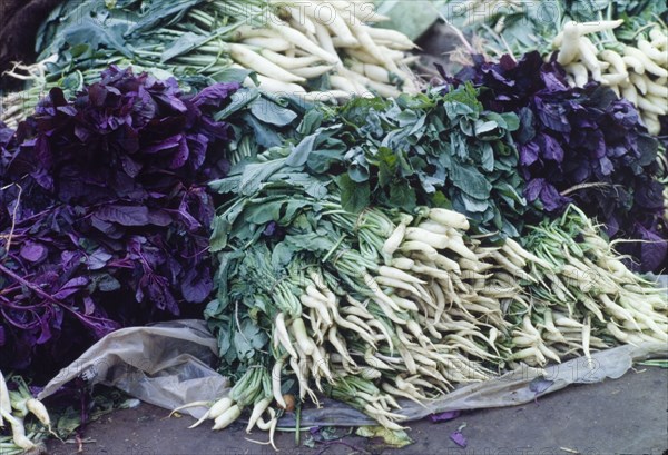 White radishes. Bundles of white radishes lie in a heap at an outdoor market in Goa. Goa, India., Goa, India, Southern Asia, Asia.