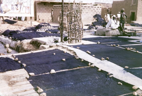 Indigo dyeing ground, Kano. Squares of indigo-dyed cloth are stretched out and weighed down with stones to dry in the sun at a dyeing ground in Kano. Kano, Nigeria, February 1964. Kano, Kano, Nigeria, Western Africa, Africa.