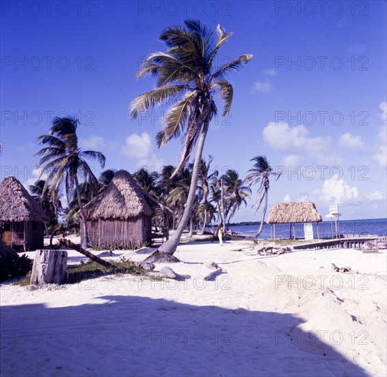 Beachfront at San Pedro, Belize. View of the beachfront at San Pedro, where bamboo beach huts and palm trees dot the sandy shore. Ambergris Caye, Belize, circa 1975. San Pedro, Ambergris Caye, Belize, Central America, North America .