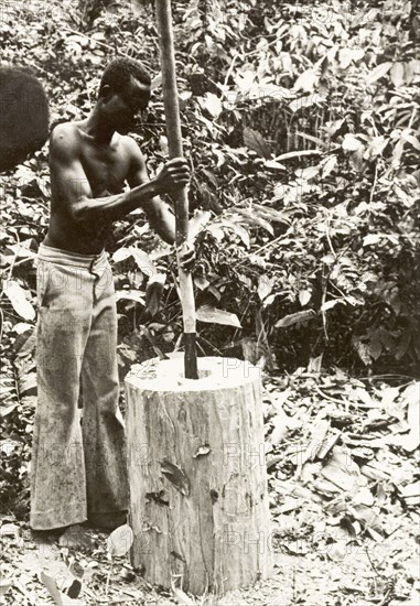 Hollowing out the shell of an atumpan drum. A craftsman uses a long carpentry tool to hollow out a section of timber as he makes the shell of an atumpan drum. Ghana, circa 1965. Ghana, Western Africa, Africa.