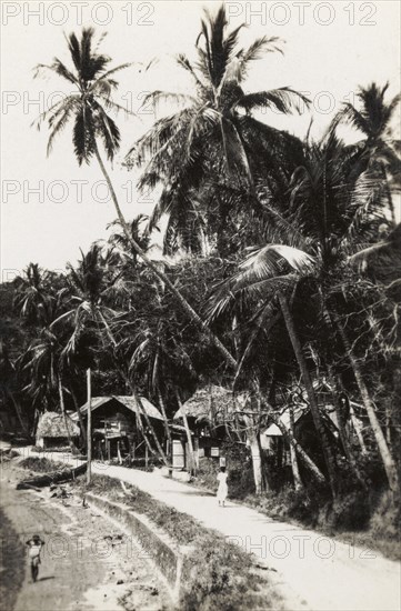 A small coastal settlement. Wooden huts line a beach path at a small coastal settlement. Trinidad and Tobago, circa 1931. Trinidad and Tobago, Caribbean, North America .