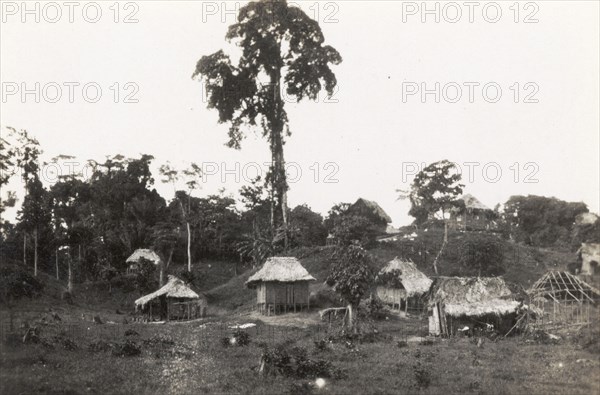 A rural village in the Caribbean. A number of small thatched huts on stilts dot the landscape in a rural village. Trinidad and Tobago, circa 1931. Trinidad and Tobago, Caribbean, North America .