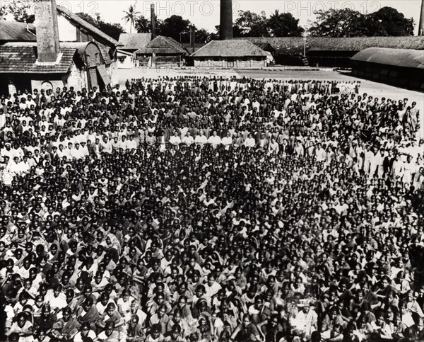 Steel Brothers' workforce. A huge group photograph of the largely Indian workforce at Steel Brothers & Co. Ltd., the majority of whom appear to be women and children. A small group of British directors are just visible, seated at the centre of the crowd. Probably India, circa 1935. India, Southern Asia, Asia.