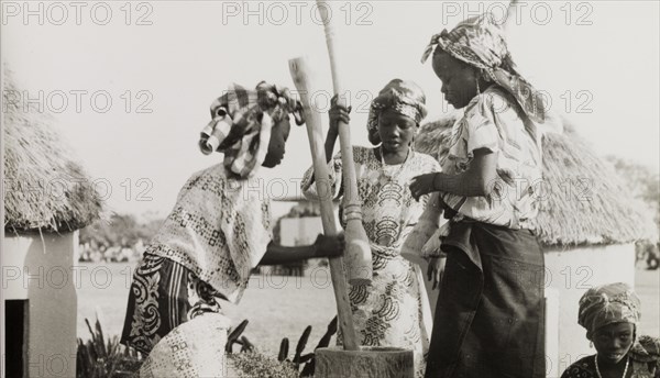 Nigerian girls using pestles and a mortar. Three young women from Kaduna Children's Village use large pestles to grind grain in a mortar outdoors. This photograph was taken during a royal visit by Queen Elizabeth II. Kaduna, Nigeria, February 1956. Kaduna, Kaduna, Nigeria, Western Africa, Africa.